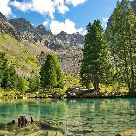 Alpinhotel Monte Superior - Silvretta Card Premium Betrieb فندق