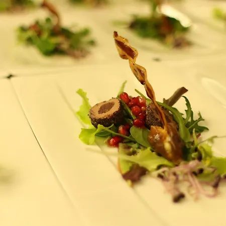 Hotel Alpinhotel Monte Superior - Silvretta Card Premium Betrieb