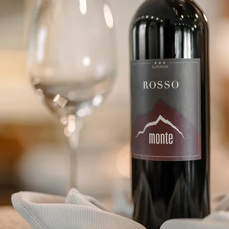 Hotel Alpinhotel Monte Superior - Silvretta Card Premium Betrieb 3*